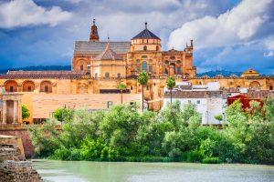 cordoba-shopping-compra-local