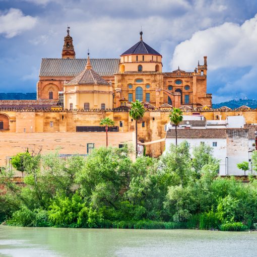 cordoba-shopping-compra-local