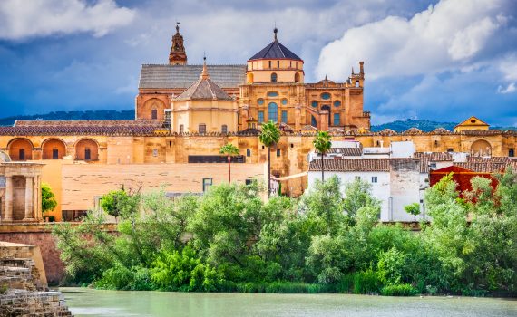 cordoba-shopping-compra-local